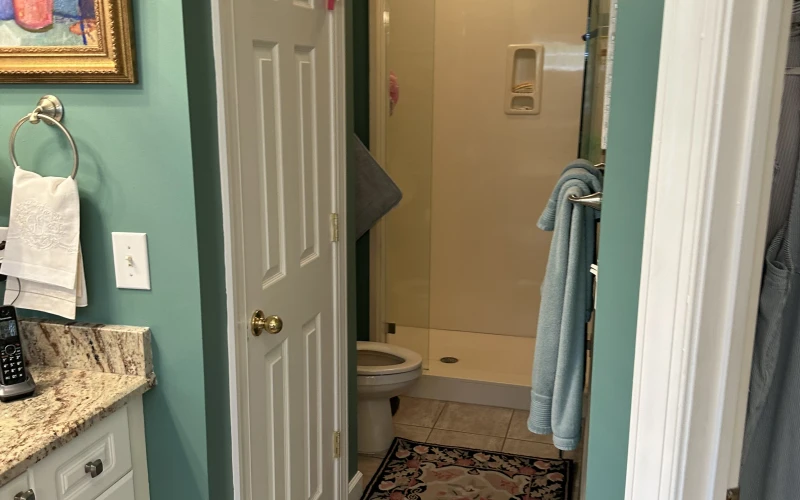 Elegantly remodeled bathroom vanity area with turquoise accent walls, white cabinetry, granite countertop, and decorative runner rug.